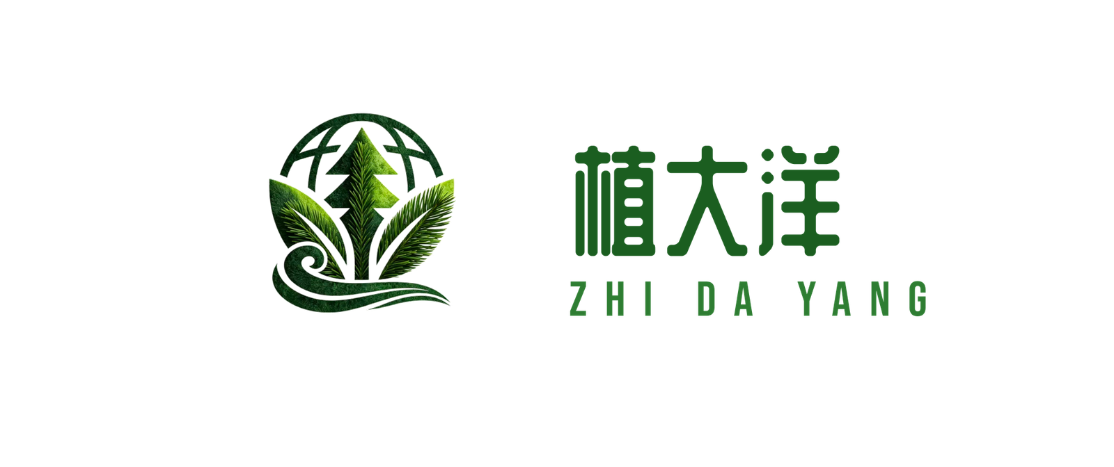 zhidayang.com