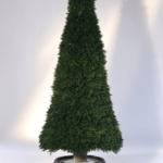 Green Juniper Christmas Tree