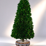Green Boxwood Christmas Tree