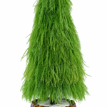 Green Dragon Beard Grass Christmas Tree
